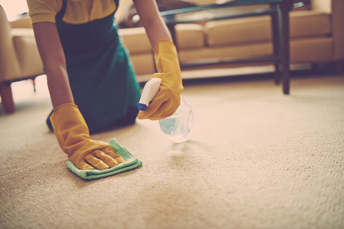 BioHomeCares How to remove tough carpet stains