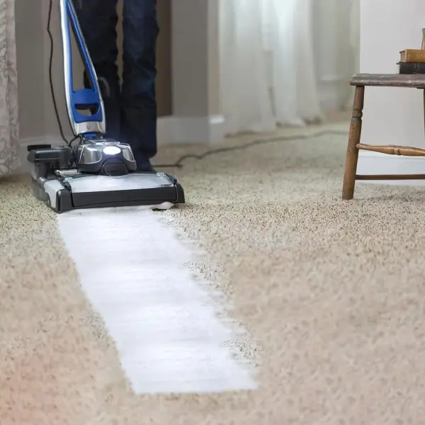Carpet Cleaning Shampoo Solution 3x5L deep cleaning formula Lotus Alwadi 9000000033962 1