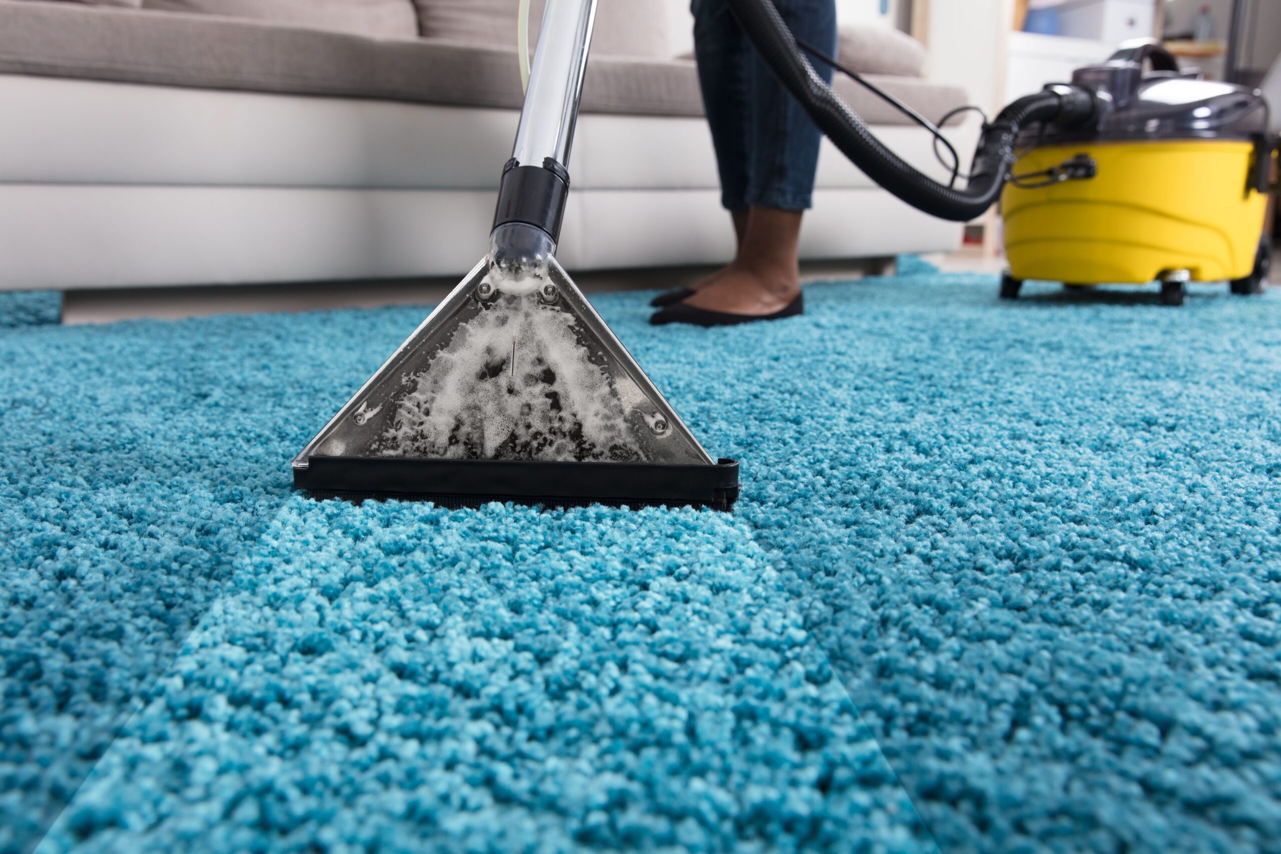 The Importance Of Professional Carpet Cleaning Services in MA