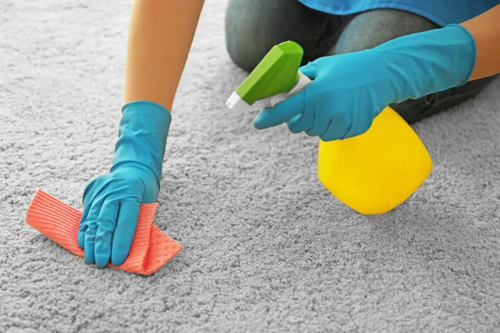 carpet cleaning4