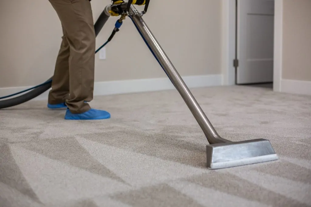 Carpet Steam Cleaning beside textile rinse 1024x683 1