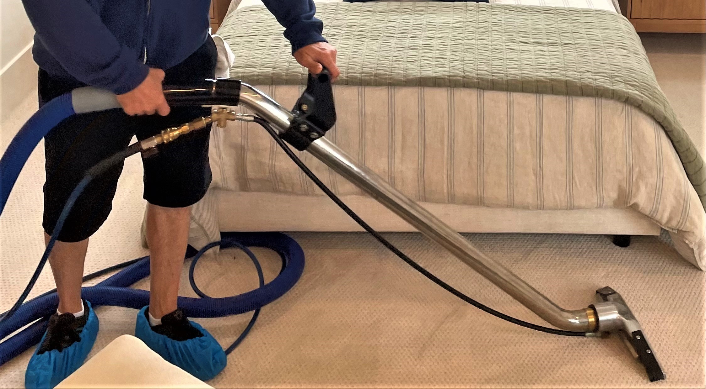 Pro Care Tech Cleans Carpet