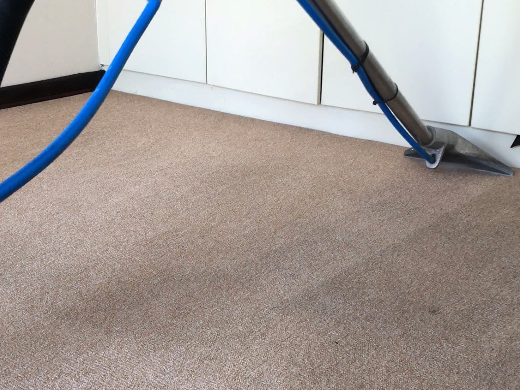 spark and clean residential carpet cleaning