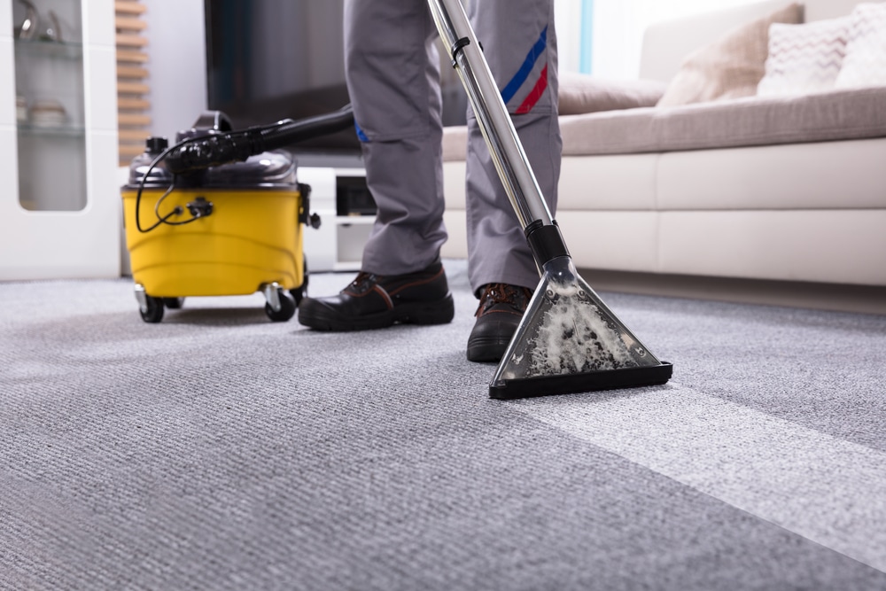 BEST TYPE OF PROFESSIONAL CARPET CLEANING