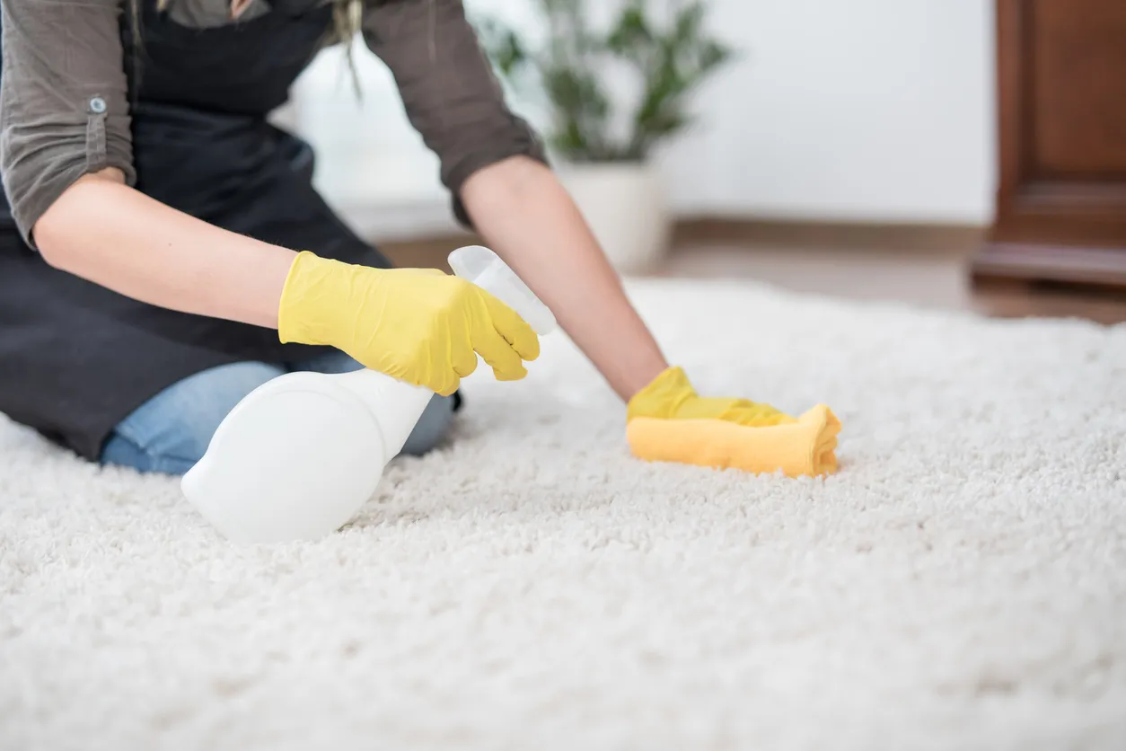 Carpet Cleaning Holden, MA