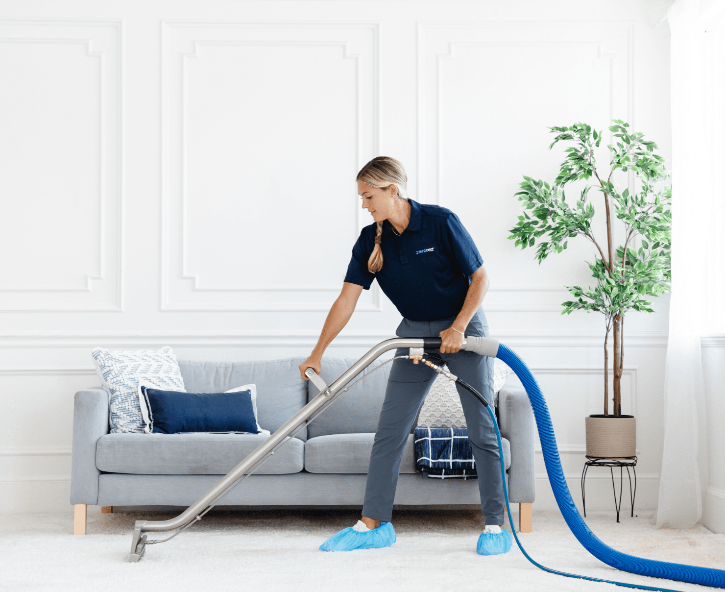 carpet cleaning Leicester, MA