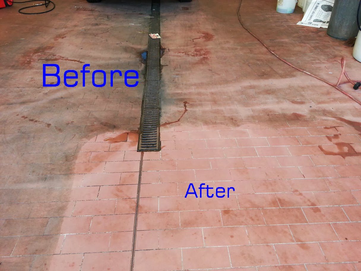 Photo Gallery 3 489056052 1229154785881364 3021777561532380762 n