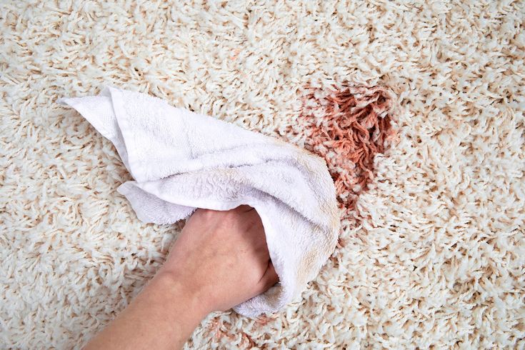The Best Homemade Carpet Cleaners for Removing Stains—and How to Make Them